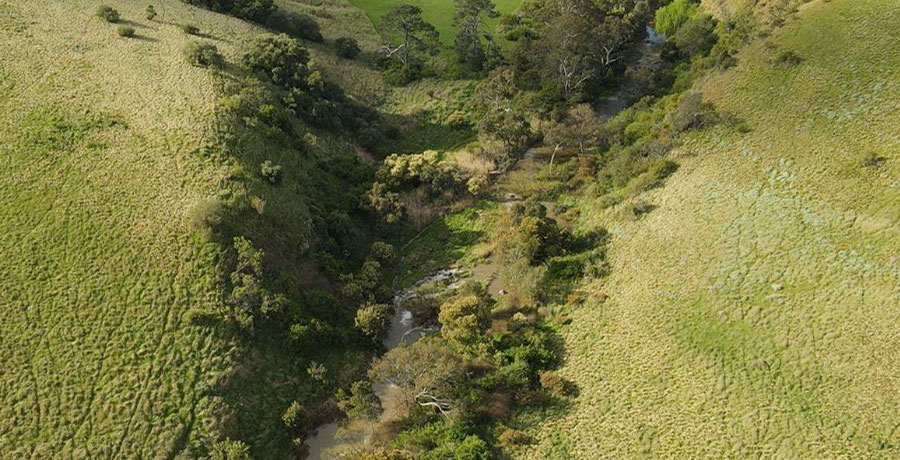 Aerial shot of Jacksons Creek, Everley